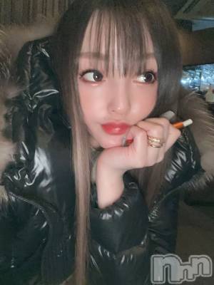 ĮХ顦Lounge R Style(饦󥸥륹) ܥ213̥֥֤