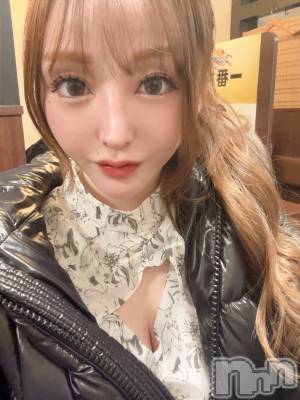 ĮХ顦Lounge R Style(饦󥸥륹) ܥ213ֻ̥֥