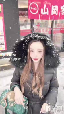115 1222ʬư