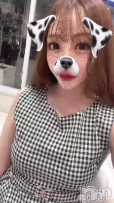 錄