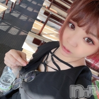 ���� �۲� ����