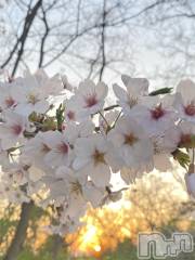 新潟デリヘルsleepy girl(スリーピーガール) あいらちゃん(22)の4月12日写メブログ「帰りに」