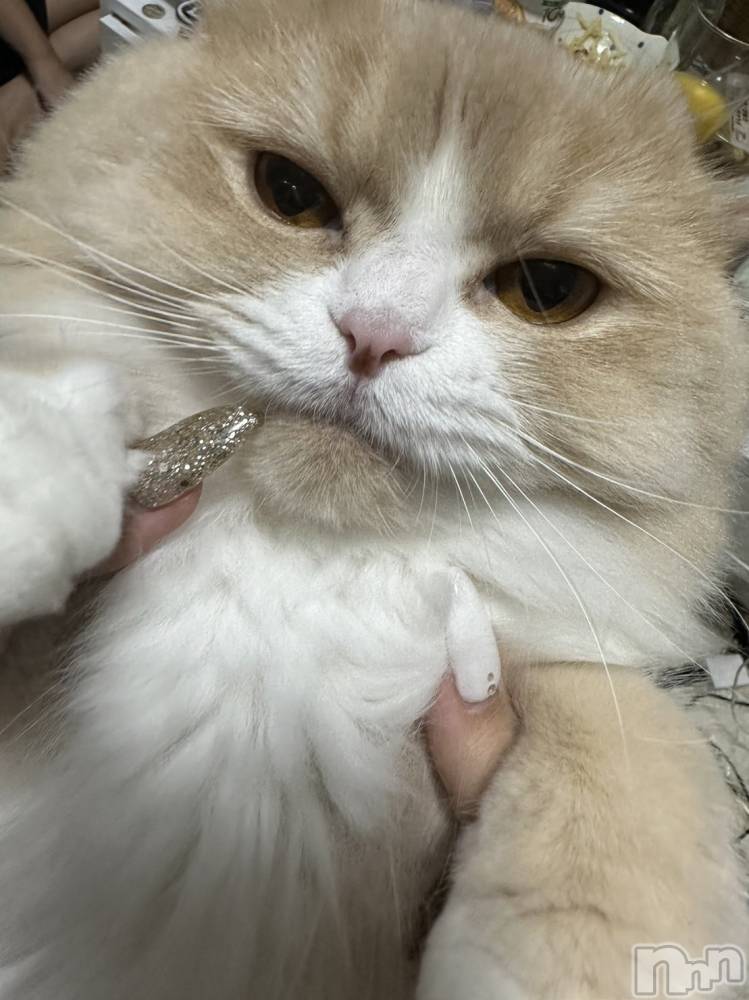 ĮХ顦Lounge  M  Style(饦󥸥ॹ) ⤨ޥޤ1011̥֥֤ˤˤ