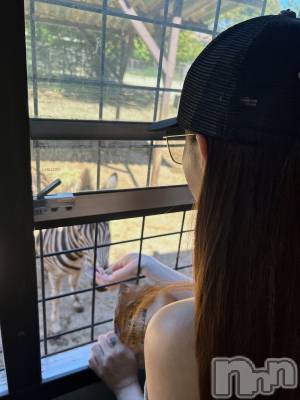 ĮХ顦Lounge R Style(饦󥸥륹)  Ĺ1012̥֥ïǤ礦