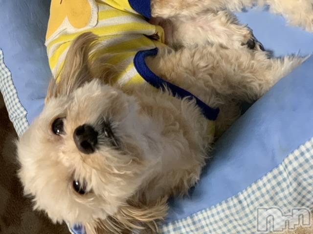 ĮХ顦CLUB GROW(֥) 518̥֥Happy Birthday !!!