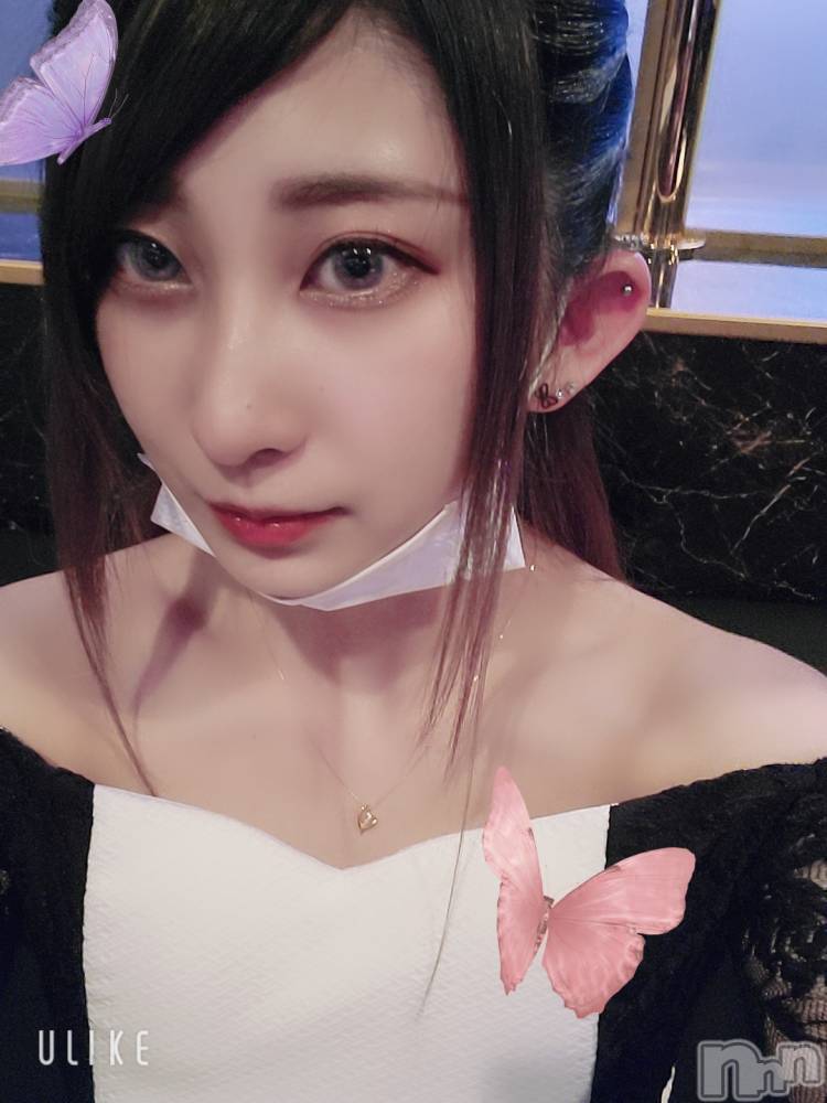 ƲХ顦֥ ץ Ĺ( ץ ʥ) ߱ 512ֽ̥֥жС