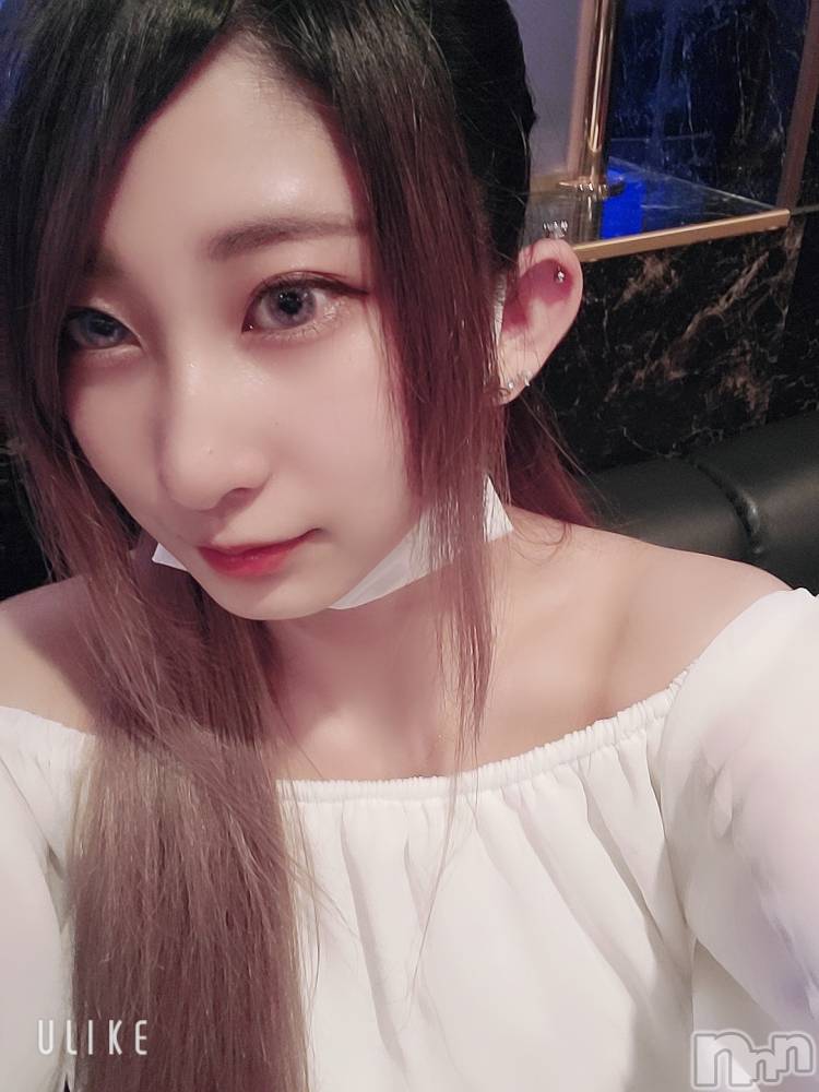 ƲХ顦֥ ץ Ĺ( ץ ʥ) ߱ 517ֽ̥֥жС