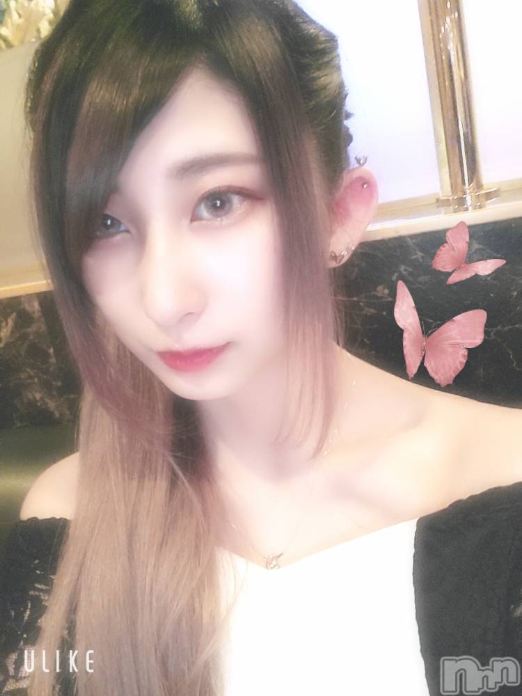 ƲХ顦֥ ץ Ĺ( ץ ʥ) ߱ 518ֽ̥֥жС