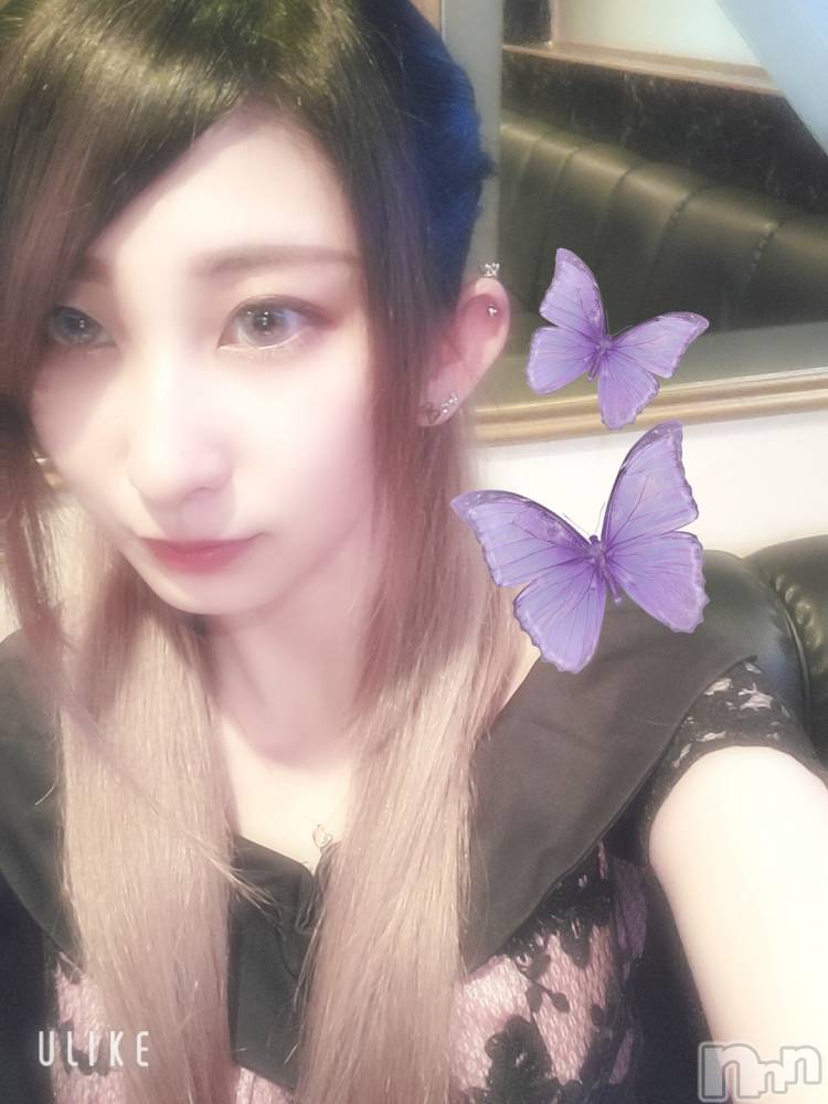 ƲХ顦֥ ץ Ĺ( ץ ʥ) ߱ 519ֽ̥֥жС