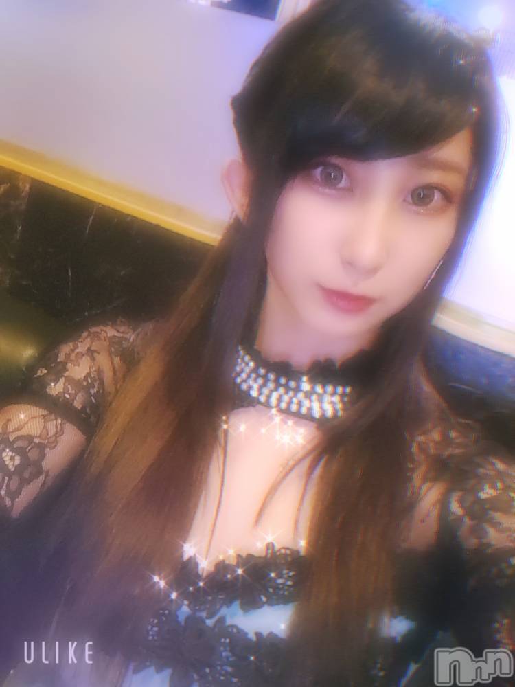ƲХ顦֥ ץ Ĺ( ץ ʥ) ߱ 1013̥֥֤Ф🌙*.