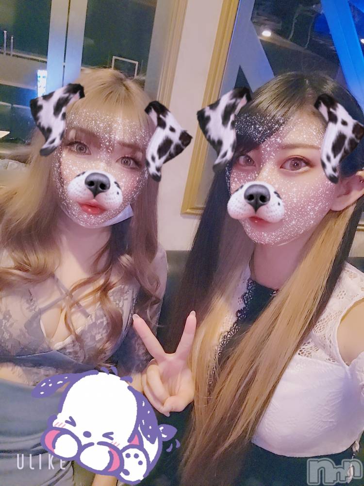 ƲХ顦֥ ץ Ĺ( ץ ʥ) ߱ 17̥֥֤Ф🌙*.