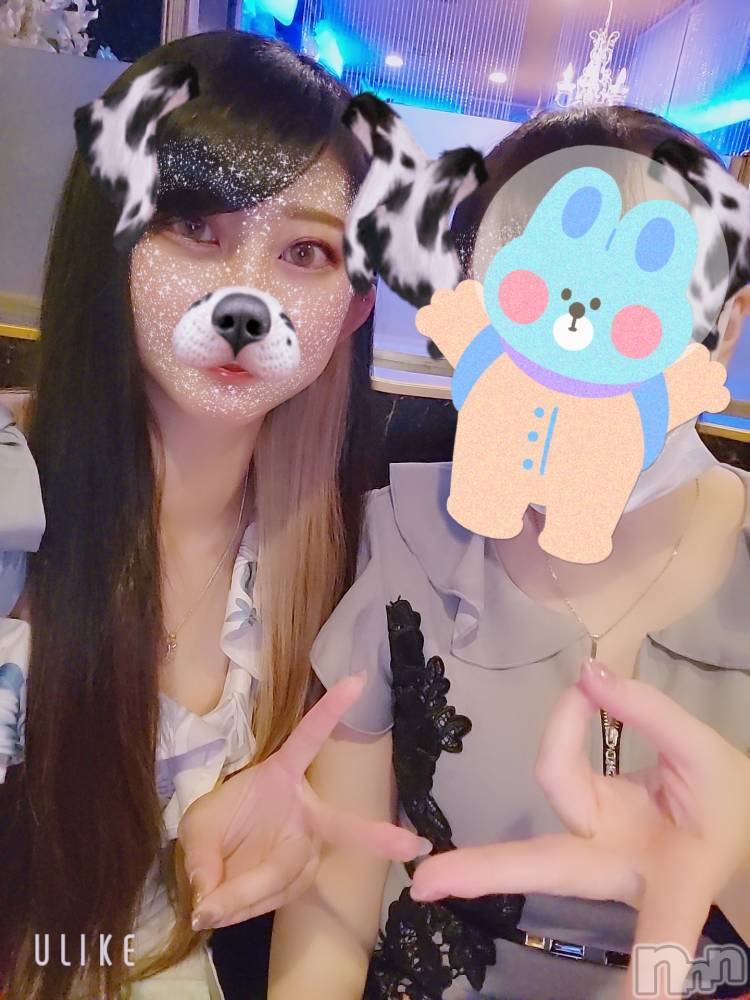 ƲХ顦֥ ץ Ĺ( ץ ʥ) ߱ 39ֽ̥֥жС