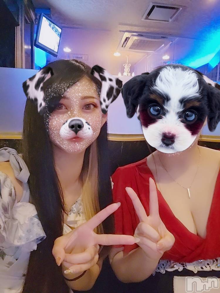 ƲХ顦֥ ץ Ĺ( ץ ʥ) ߱ 622̥֥֎*:(:)