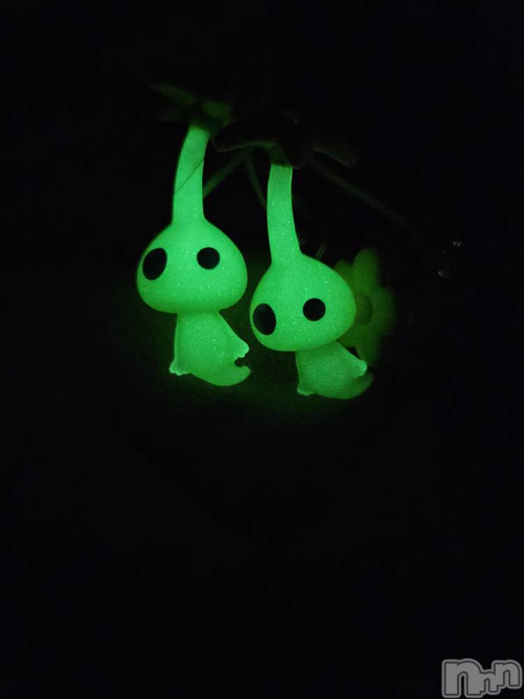 ƲХ顦֥ ץ Ĺ( ץ ʥ) ߱ 82̥֥֤Ф🌙