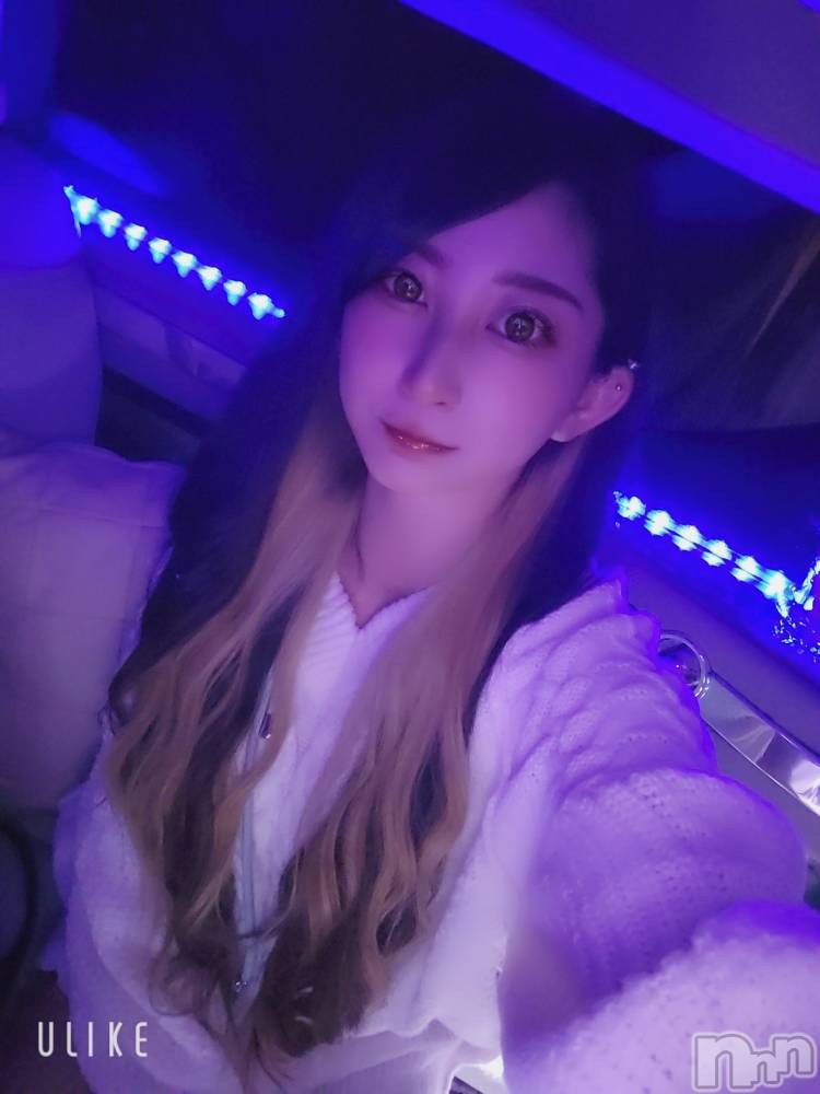 ƲХ顦֥ ץ Ĺ( ץ ʥ) ߱ 523̥֥֤Ф🌙