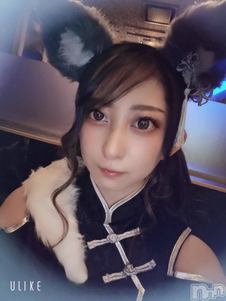 ƲХ顦֥ ץ Ĺ( ץ ʥ) ߱ 1021̥֥֤Ф🌙