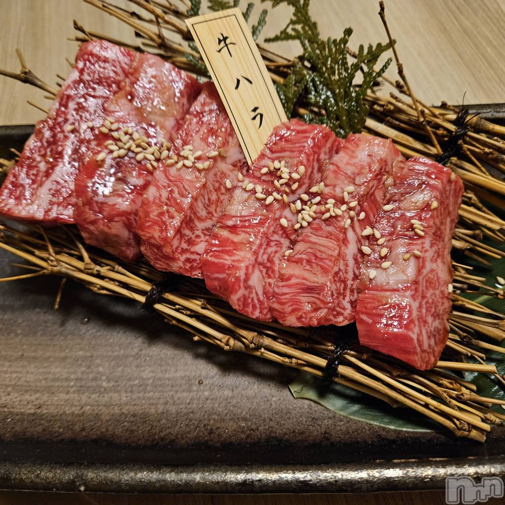 ƲХ顦֥ ץ Ĺ( ץ ʥ) ߱ 1023̥֥֤Ф🌙