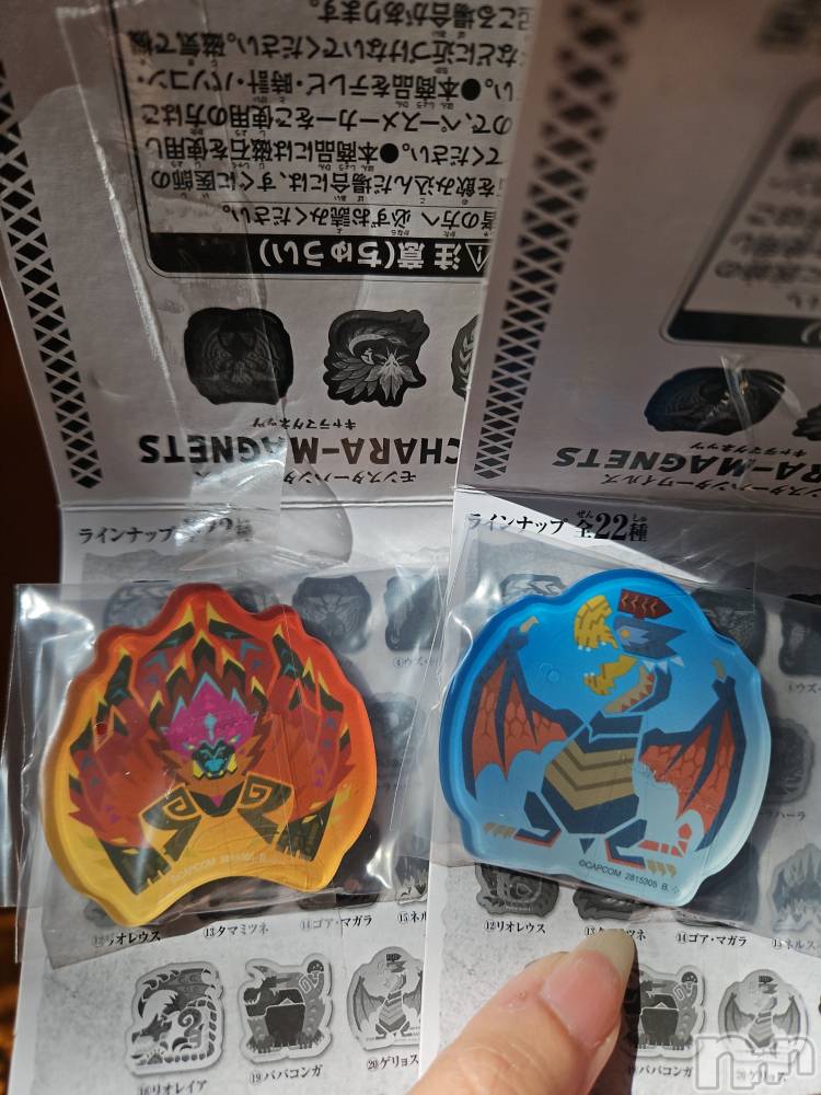 ƲХ顦֥ ץ Ĺ( ץ ʥ) ߱ 1113̥֥֤Ф🌙