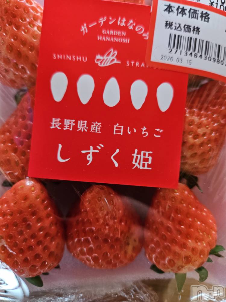 ��Ʋ����Х��顦����֥���� �ץ���� Ĺ��(����� �ץ���� �ʥ���) �߱� ����3��26���̥�֥����֤���Ф��🌙��