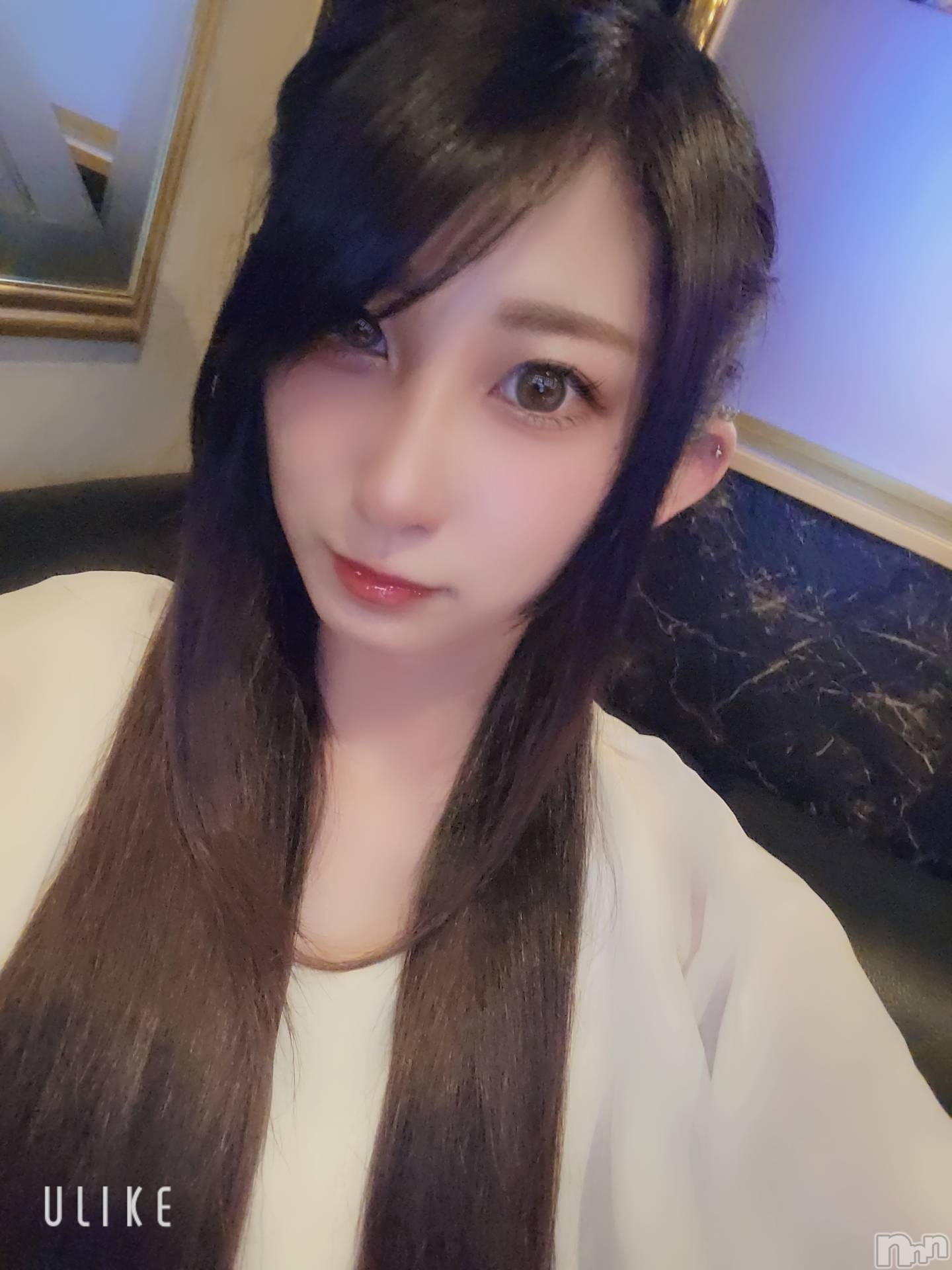 ƲХ顦֥ ץ Ĺ( ץ ʥ) 2022ǯ326̥֥֤Ф🌙*.