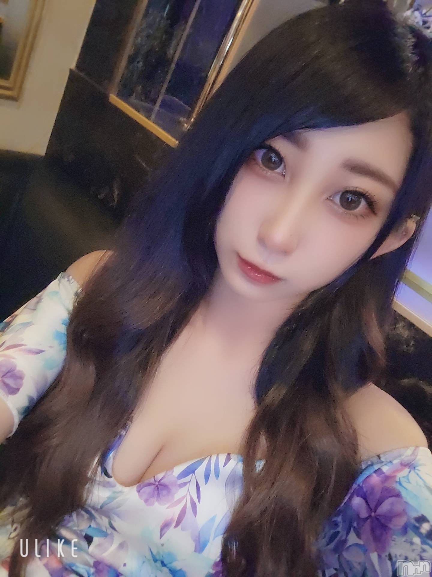 ƲХ顦֥ ץ Ĺ( ץ ʥ) 2022ǯ527̥֥֤Ф🌙*.