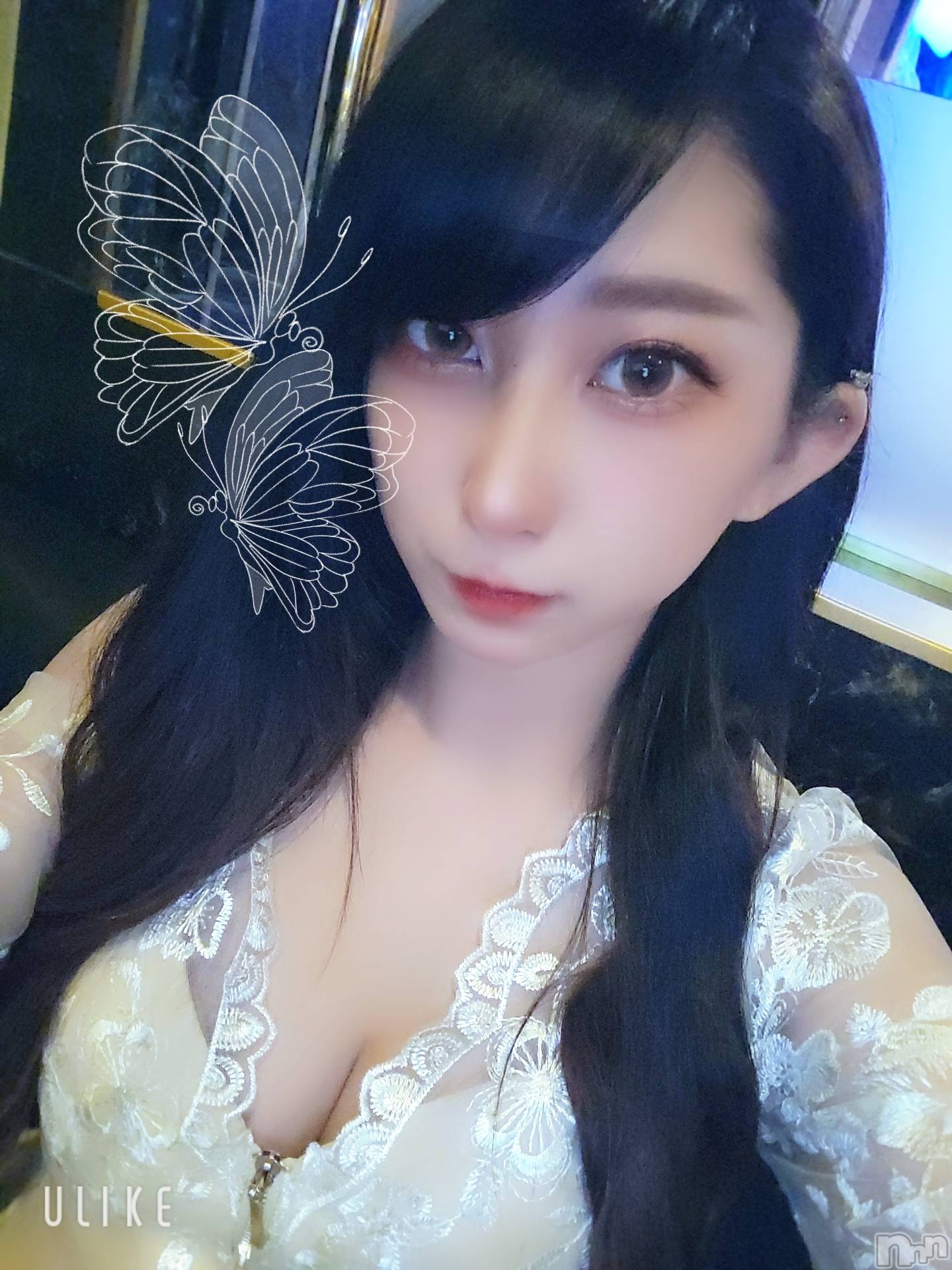 ƲХ顦֥ ץ Ĺ( ץ ʥ) 2022ǯ714̥֥֤ᤢᤢ