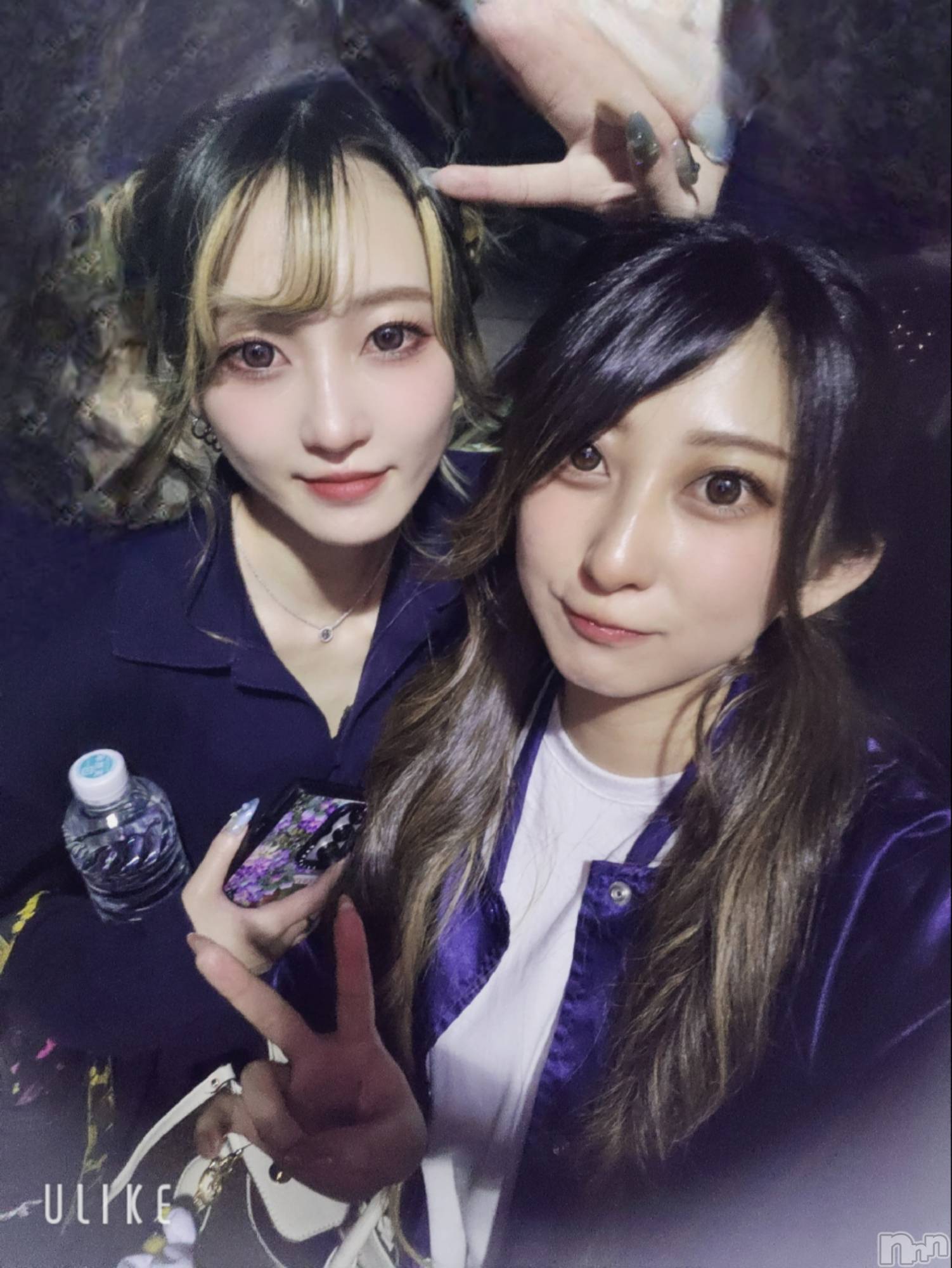 ƲХ顦֥ ץ Ĺ( ץ ʥ) 2025ǯ519̥֥֤Ф🌙