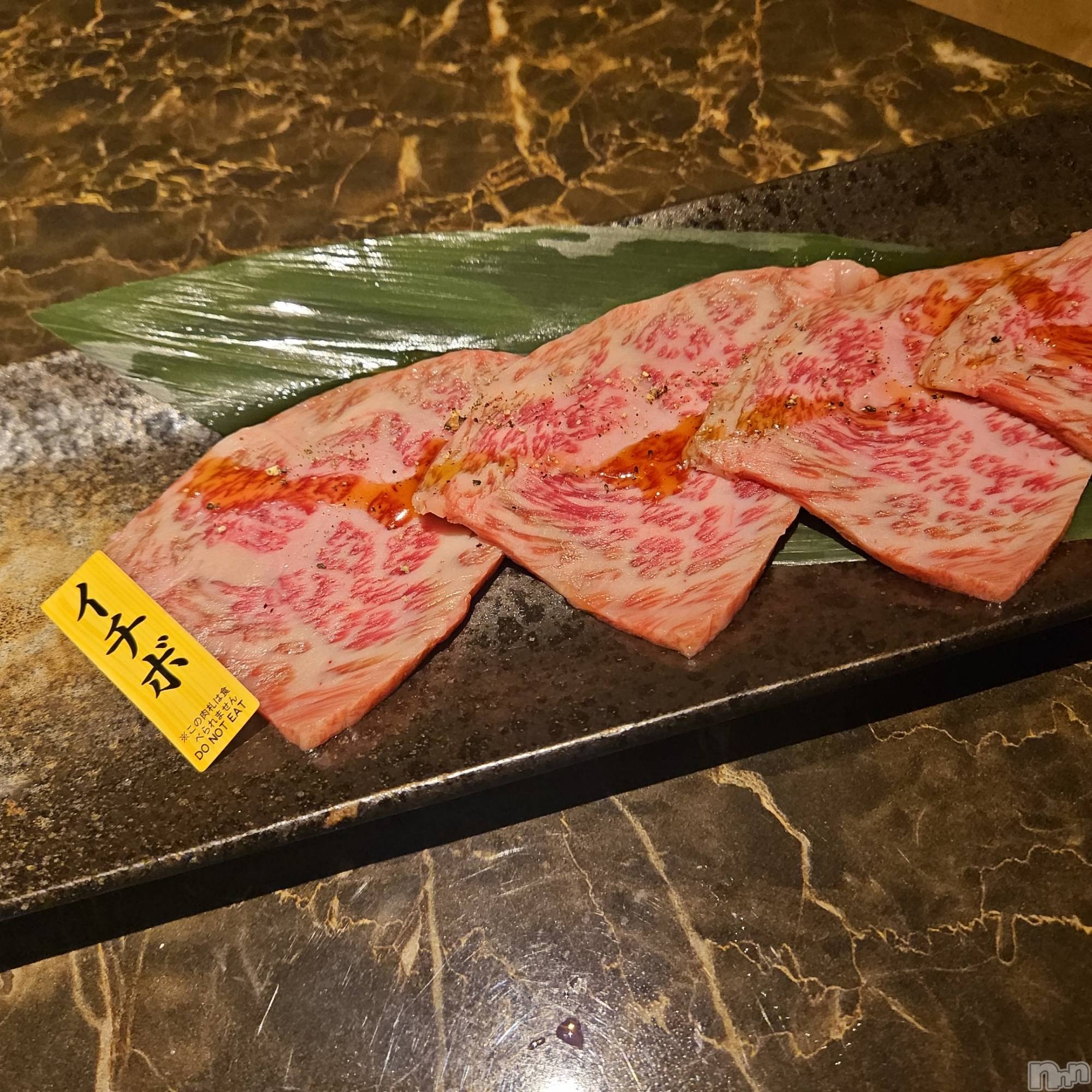 ƲХ顦֥ ץ Ĺ( ץ ʥ) 2025ǯ102̥֥֤🍖