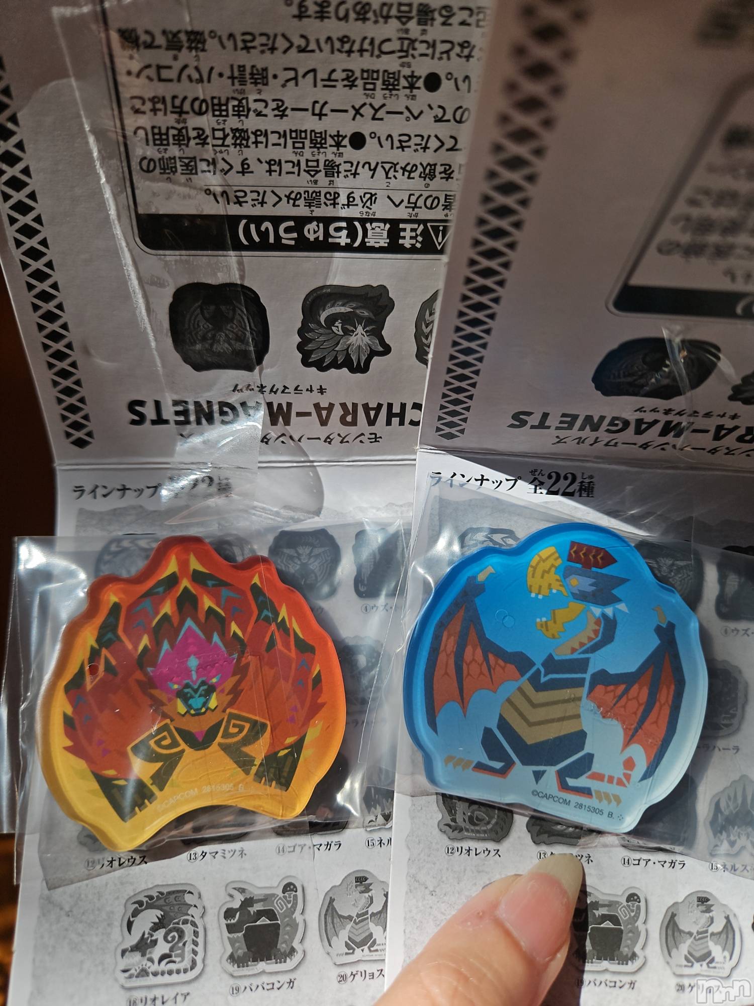 ƲХ顦֥ ץ Ĺ( ץ ʥ) 2025ǯ1113̥֥֤Ф🌙