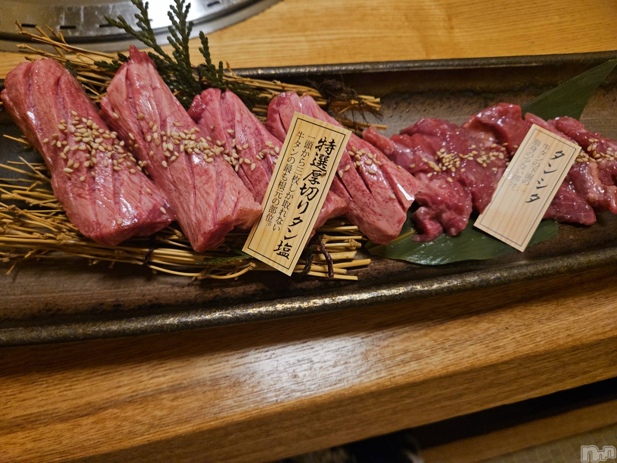 ��Ʋ����Х��顦����֥���� �ץ���� Ĺ��(����� �ץ���� �ʥ���) ��2026ǯ3��5���̥�֥����֤���Ф��🌙��