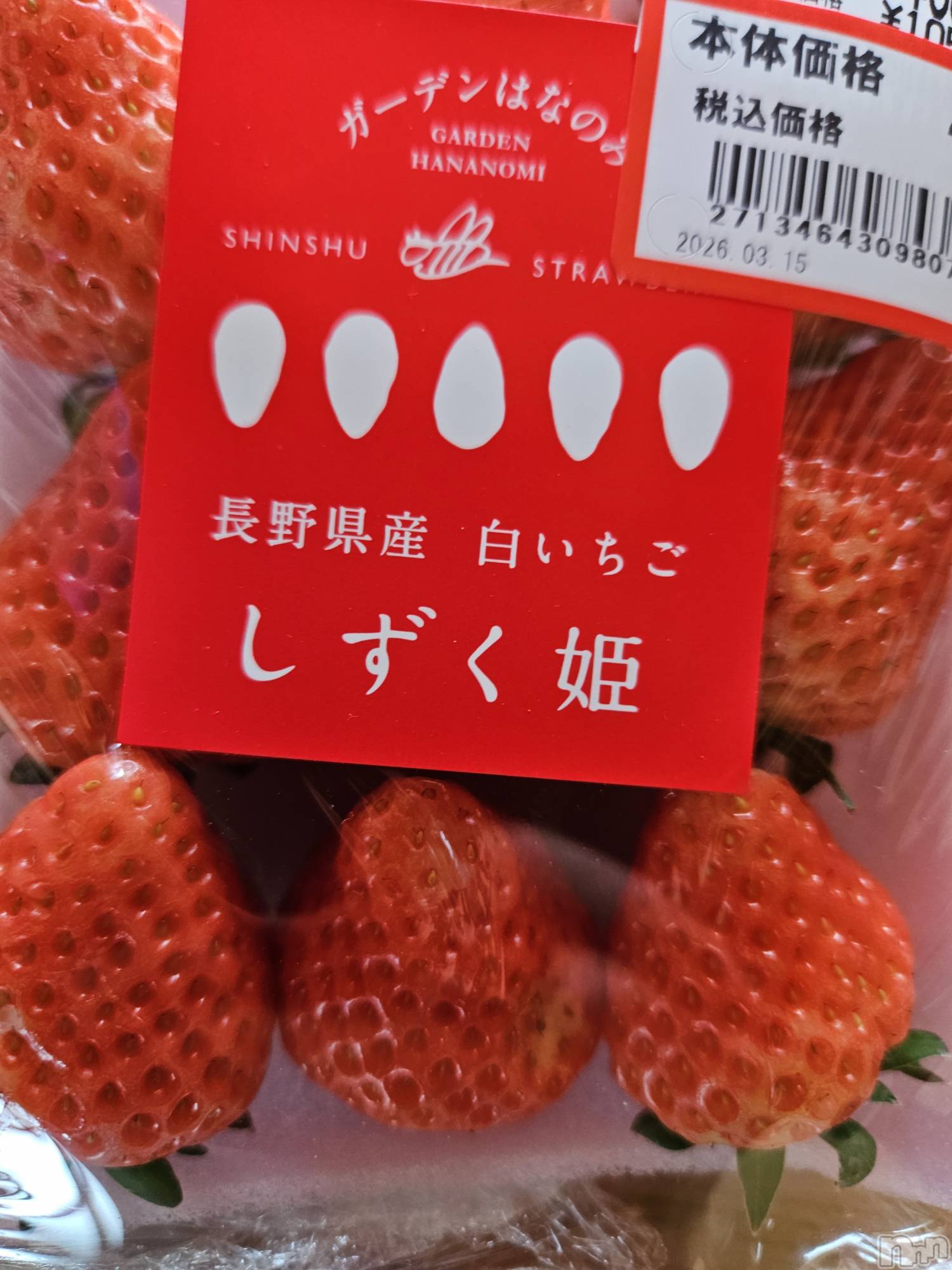 ��Ʋ����Х��顦����֥���� �ץ���� Ĺ��(����� �ץ���� �ʥ���) ��2026ǯ3��26���̥�֥����֤���Ф��🌙��