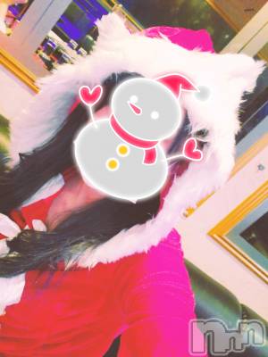 ƲХ顦֥ ץ Ĺ( ץ ʥ) ߱ 1226ֽ̥֥жС