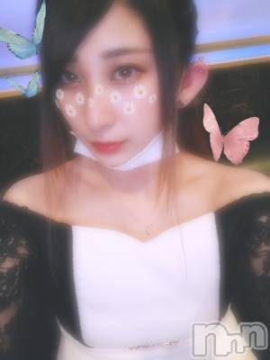 ƲХ顦֥ ץ Ĺ( ץ ʥ) ߱ 523̥֥֤Ф