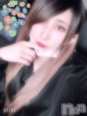 ƲХ顦֥ ץ Ĺ( ץ ʥ) ߱ 527̥֥֤Ф