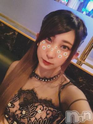 ƲХ顦֥ ץ Ĺ( ץ ʥ) ߱ 620̥֥֤Ф🌙*.