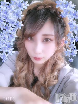ƲХ顦֥ ץ Ĺ( ץ ʥ) ߱ 622̥֥֎ӎ؎ӎء
