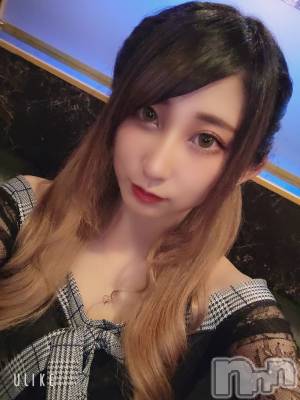 ƲХ顦֥ ץ Ĺ( ץ ʥ) ߱ 72ֽ̥֥жС
