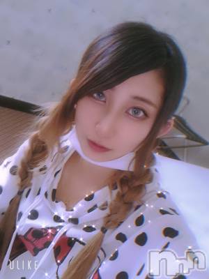 ƲХ顦֥ ץ Ĺ( ץ ʥ) ߱ 910̥֥֤Ф🌙*.