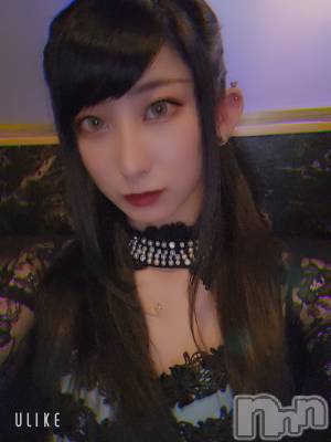 ƲХ顦֥ ץ Ĺ( ץ ʥ) ߱ 917̥֥֤Ф🌙*.