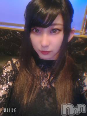 ƲХ顦֥ ץ Ĺ( ץ ʥ) ߱ 107̥֥֎ݎӎ( -` )