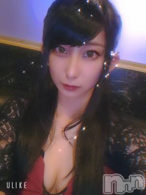 ƲХ顦֥ ץ Ĺ( ץ ʥ) ߱ 1010̥֥֎ݎӎ( -` )