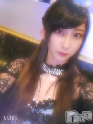 ƲХ顦֥ ץ Ĺ( ץ ʥ) ߱ 1013̥֥֤Ф🌙*.