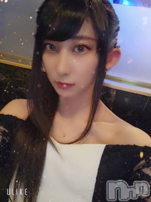 ƲХ顦֥ ץ Ĺ( ץ ʥ) ߱ 1014̥֥֤Ф🌙*.