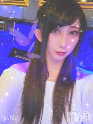 ƲХ顦֥ ץ Ĺ( ץ ʥ) ߱ 1016ֽ̥֥жФޤ衼