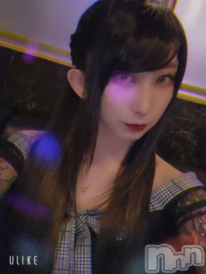 ƲХ顦֥ ץ Ĺ( ץ ʥ) ߱ 1026ֽ̥֥жС