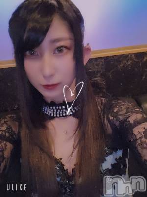 ƲХ顦֥ ץ Ĺ( ץ ʥ) ߱ 115̥֥֤Ф🌙*.