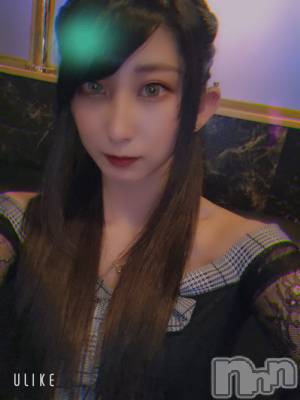 ƲХ顦֥ ץ Ĺ( ץ ʥ) ߱ 1117̥֥֥륮