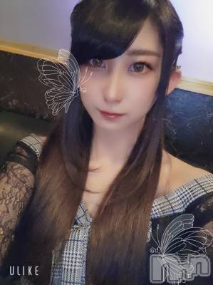 ƲХ顦֥ ץ Ĺ( ץ ʥ) ߱ 123ֶ̥֥