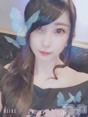 ƲХ顦֥ ץ Ĺ( ץ ʥ) ߱ 1213̥֥֤Ф🌙*.