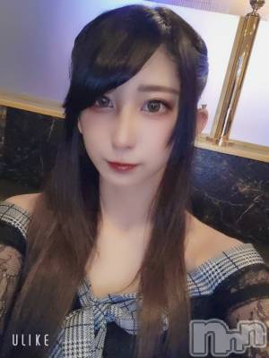 ƲХ顦֥ ץ Ĺ( ץ ʥ) ߱ 13̥֥֤ޤƤǤȤޤ🐯